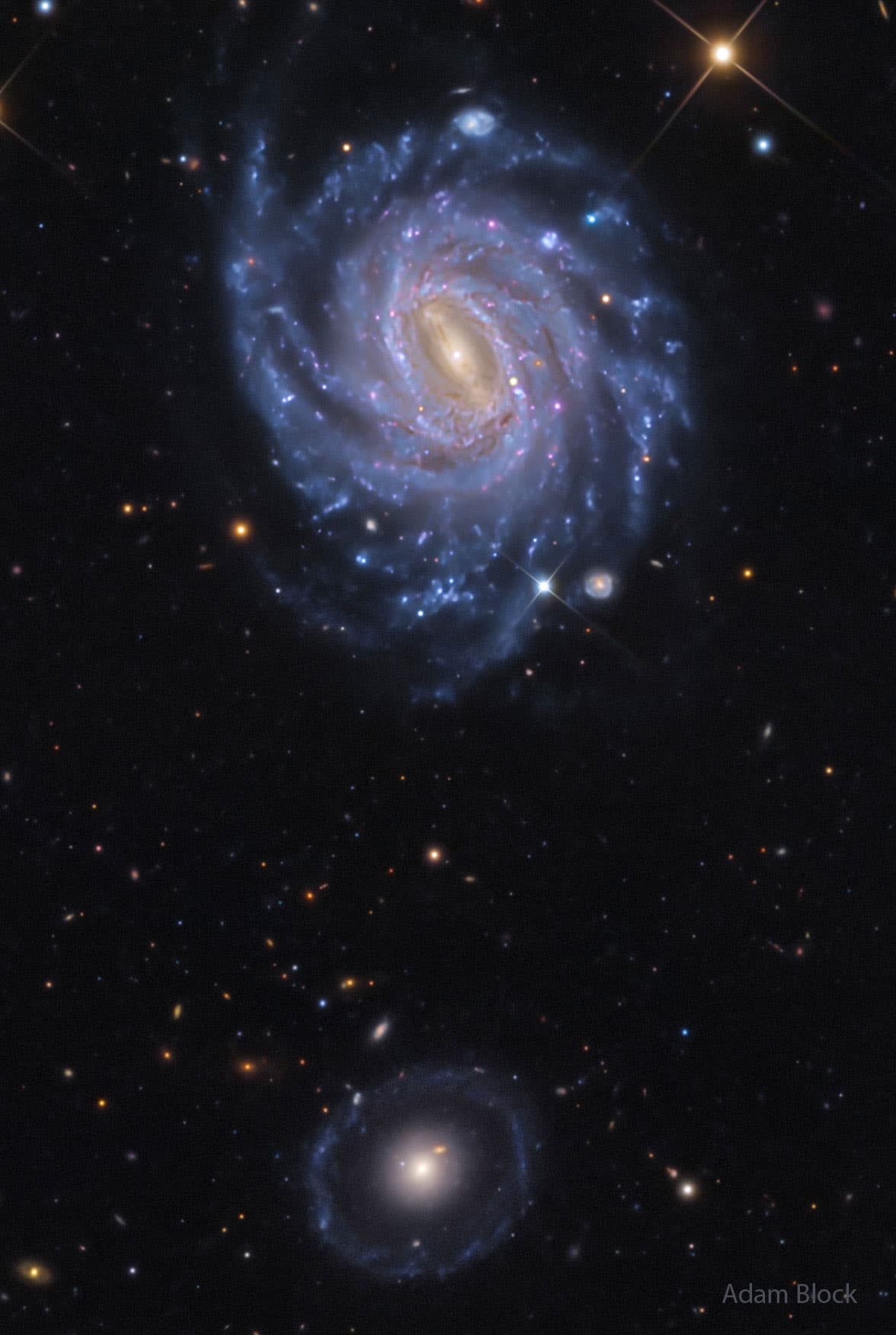 NGC 3660 and Burçin's Galaxy