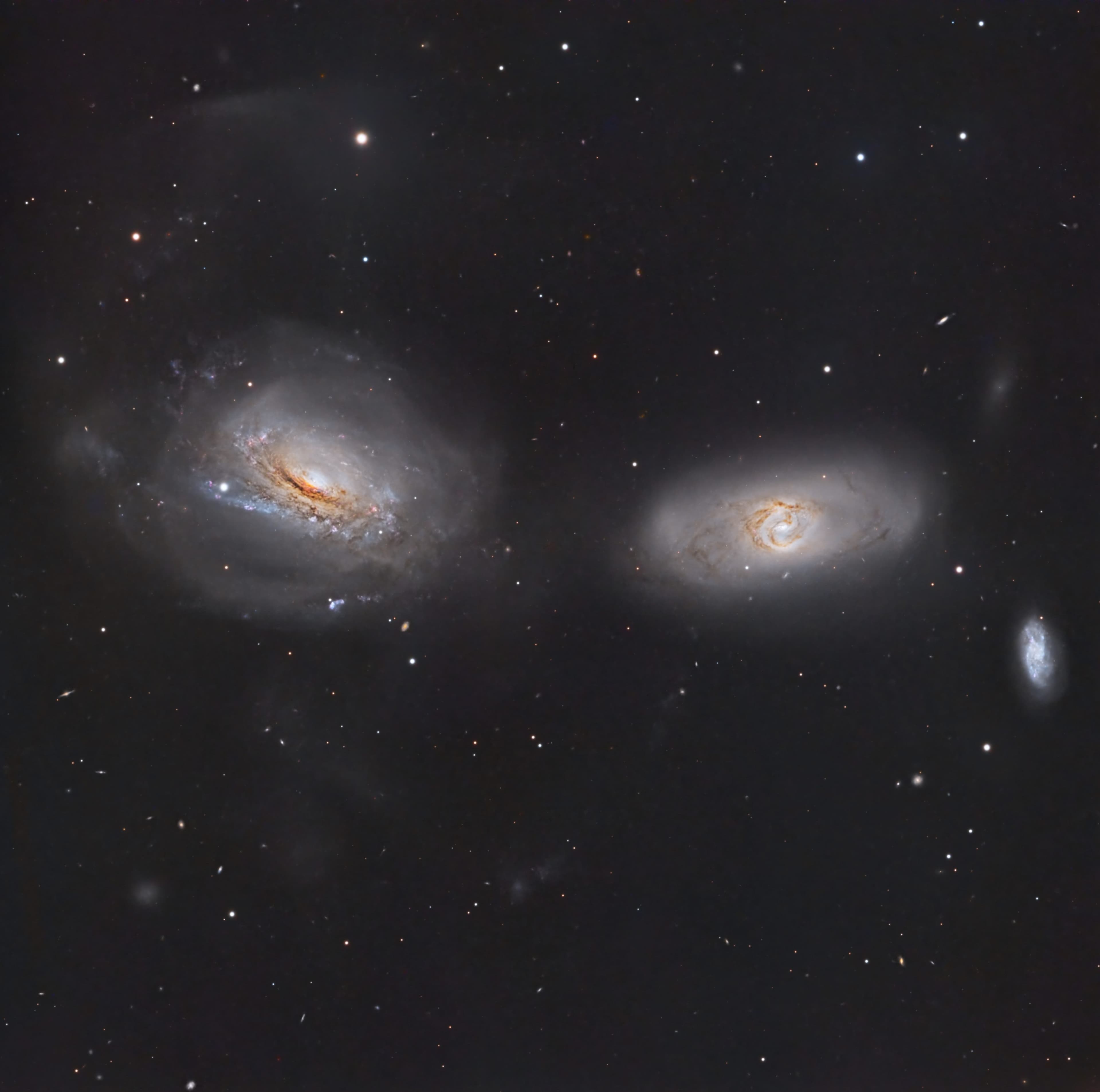Unraveling NGC 3169